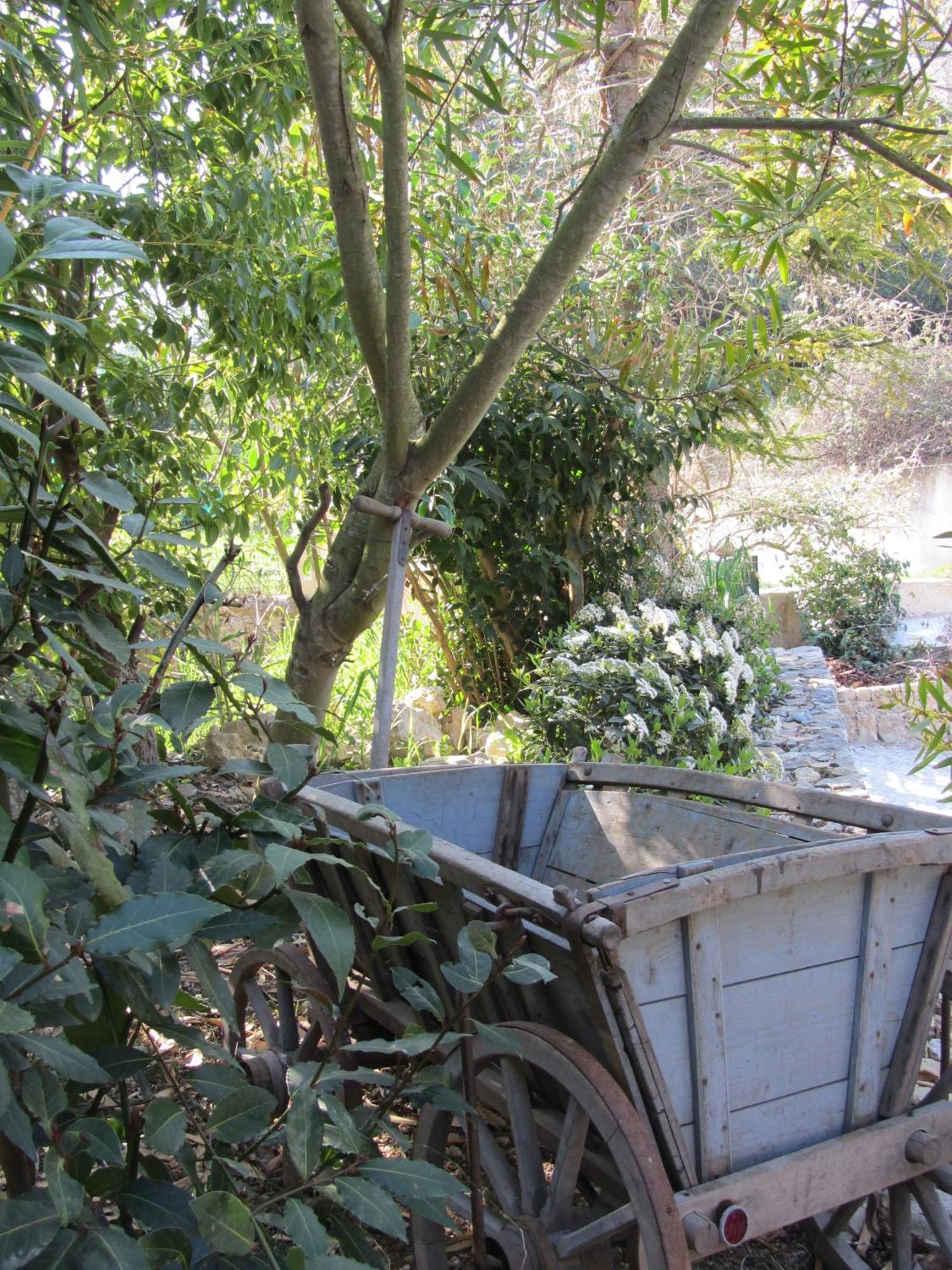 Les Rosees Mougins Exterior foto